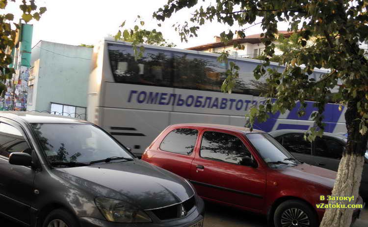 Затока автобус из Беларуси